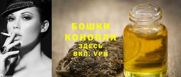 PSILOCYBIN Горнозаводск