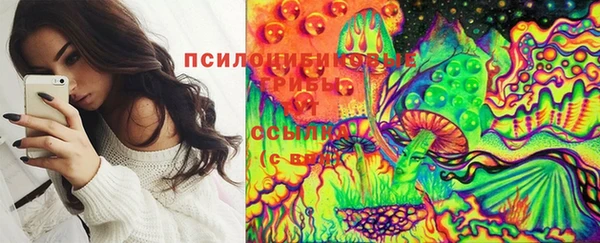 спайс Вяземский