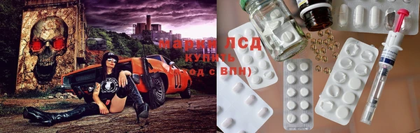 спайс Вяземский